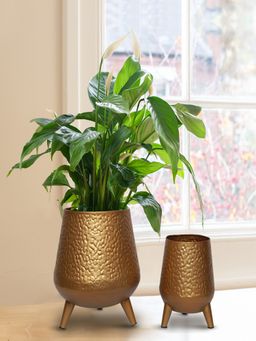Ecofynd - Hazel Metal Planter with Stand Gold