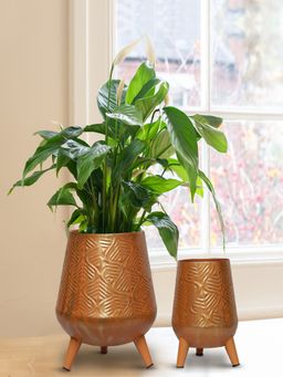 Ecofynd - Hazel Metal Planter with Stand Orange