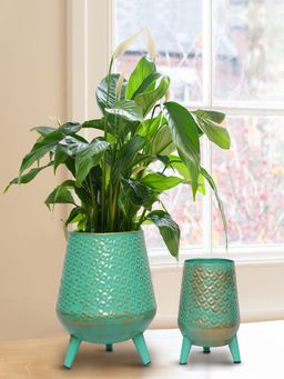 Ecofynd - Hazel Metal Planter with Stand Green