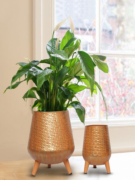 Ecofynd Hazel Metal Planter with Stand Gold