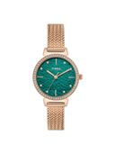 Teal color option, Currently selected