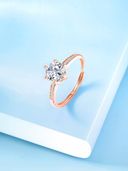 Rose Gold color option, Sold out