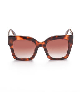 Just Cavalli - Shiny Brown Demi Acetate Frame And Brown Sunglasses (SJC019V52U62SG) (52)
