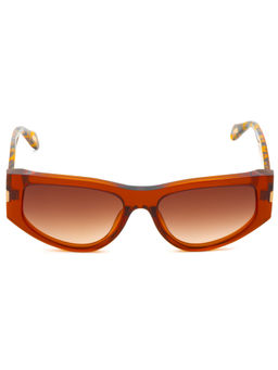 Just Cavalli - Shiny Crystal Brown Acetate Frame Sunglasses (Sjc034556X5Sg) (55)