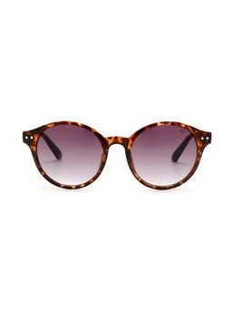 French Connection - Brown Gradient Lens Round Sunglass Full Rim Demi Brown Frame (51)