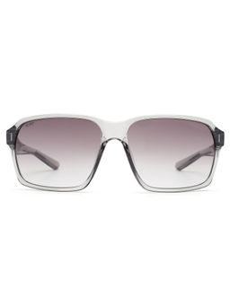 Scott Sunglasses - Gradient Grey Lens Navigator Sunglass Full Rim Crystal Grey Frame (60)