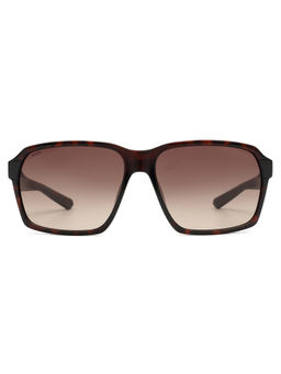 Scott Sunglasses - Brown Gradient Lens Navigator Sunglass Full Rim Demi Brown Frame (60)