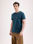 Teal color option, Currently selected