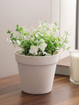 HomeTown - Flora Polyester Thyme Plant with White Pot in Green Colour