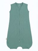 Green color option, Currently selected