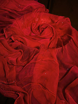 ADA - Hand Embroidered Lucknowi Red Chiffon Dupatta with Mukaish Work [A511154]
