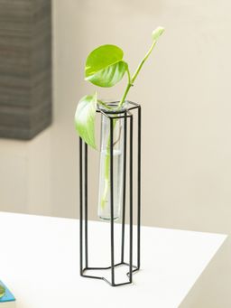 ExclusiveLane - Modern Glass Garden Test Tube Table Planter-Vase (10 Inch, Black)