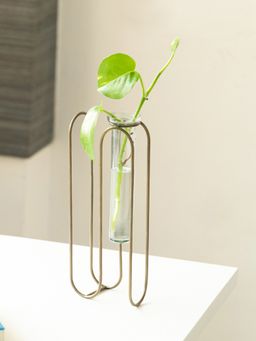 ExclusiveLane - Modern Glass Garden Test Tube Table Planter-Vase with Face Holder (10 Inch, Golden)