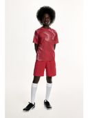 Red color option
