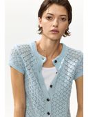 Blue color option, Currently selected