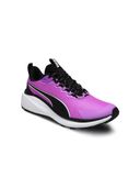 Purple color option, Sold out