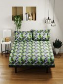 Multi-Color color option, Sold out, Currently selected