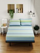 Multi-Color color option, Sold out