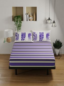 BIANCA - Pure Cotton Double Bedsheet -3Pc Set Stripe-Purple, Beige (Queen)