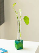 Green color option, Sold out, Currently selected