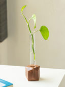 Brown color option, Sold out