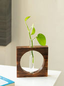 Brown color option, Sold out, Currently selected
