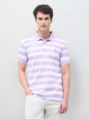 Lavender color option, Currently selected