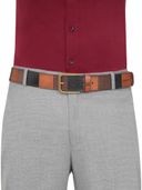 Multi-Color color option, Currently selected