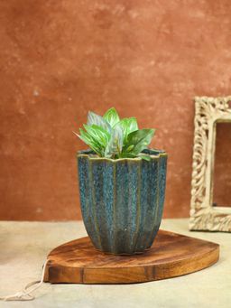 WEAVING HOMES - Lotus Planter - Metallic Blue Home Decor Item, Indoor Planter