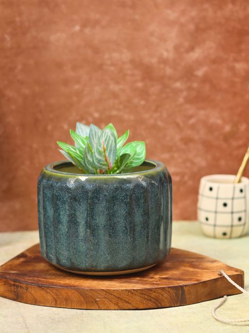 WEAVING HOMES Ribbed Green Planter - Large Home Decor Item, Indoor Planter