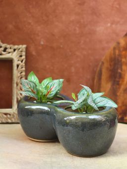 WEAVING HOMES - Twice A Bloom Planter Home Decor Item, Indoor Planter