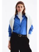 Blue color option, Currently selected