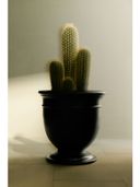Black color option, Sold out, Currently selected