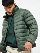 Olive color option, Currently selected
