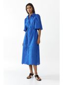 Blue color option, Currently selected
