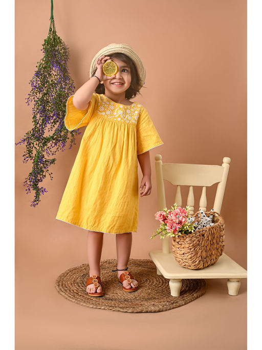 Buy Beebay Yoke Embroidery Angle Sleeve Dobby Dress Online