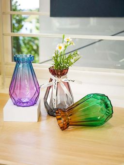 Ekhasa - Glass Vase Flower Pot for Home Decoration (Set Of 3)