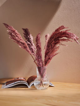 Twig & Twine - Nautica Dried Pampass in Pink Color Pack of 6 Stems