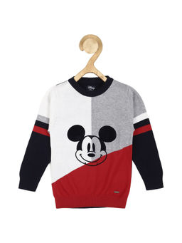 Allen Solly Junior - Boys Multi Patterned Regular Fit Sweater