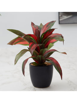 HomeTown - Ilana Faux Dracaena Ceramic Potted Plant 21 Cm in Green Colour