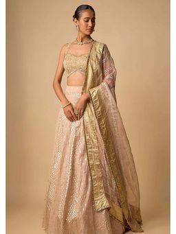Neha Khullar - Banarasi Chanderi Hand Embroidered Pink Lehenga With Blouse And Dupatta