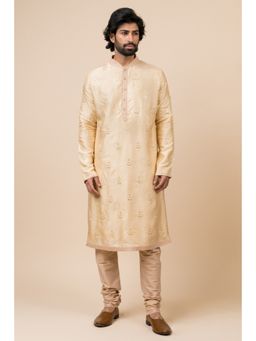TASVA - Gold Embroidered Mandarin Neck Thread Work Kurta with Churidar
