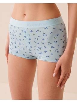 La Vie En Rose - Blue Cotton Invisible Hiphugger Panty