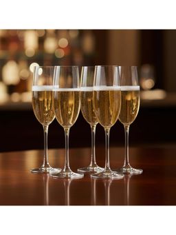 BlackCarrot - Premium Lead Free Transparent Champagne Glasses (Pack of 6)