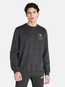 Puma - Graphic Men Grey Sweatshirt