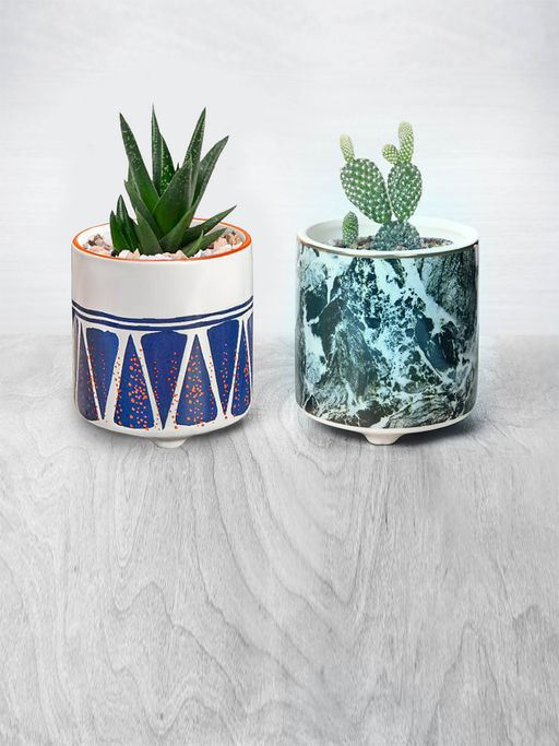KitchenCraft Modern Indoor Ceramic Planters for thinKitchen