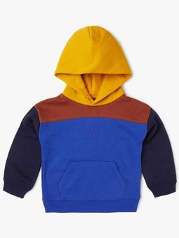 GAP - Multi-Color Full Sleeves Pull On Hoodies