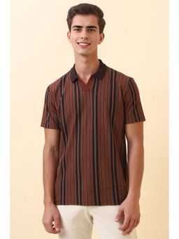 Allen Solly - Men Brown Stripe Polo T-Shirt