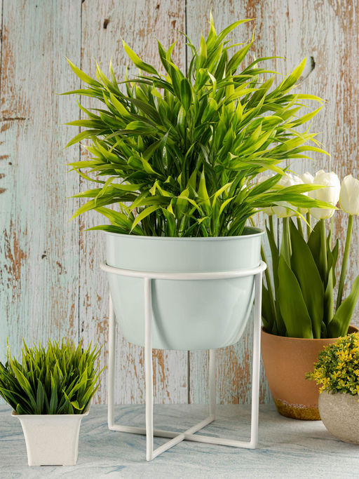 Metalsmith Elegant Table Planter With Stand (Standard) (Set of 2)