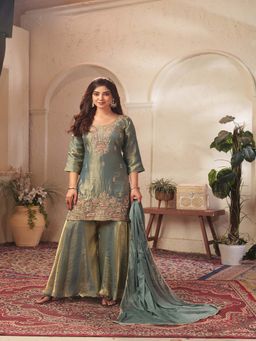 BC Balaji Creation - Blue Embellished Sequined Festive Palazzo set